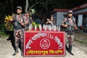 বেনাপোল দৌলতপুর সিমান্ত এলাকায় বিজিবি অভিযানে ৩৪ বোতল ভারতীয় পাঞ্চ মদ উদ্ধার 