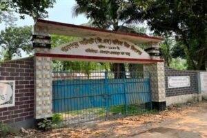 টেন্ডার ছাড়াই বিদ্যালয়ের গাছ কাটলেন সভাপতি-প্রধান শিক্ষক দম্পতি