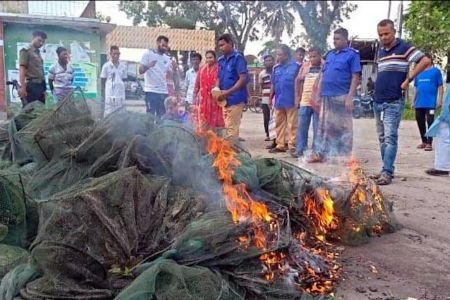 কোটালীপাড়ায় ২ লাখ টাকার নিষিদ্ধ চায়না দুয়ারী জাল উদ্ধার ও পুড়িয়ে ধ্বংস