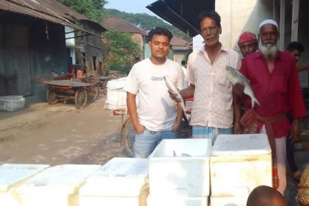 কামারখালীতে ভরা মৌসুমেও ইলিশের খরা, দাম চড়া