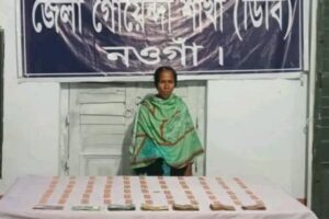 মান্দায় মাদক সিন্ডিকেটে ডিবির হানা ৬৬৩ পিস ট্যাপেন্টাডলসহ নারী গ্রেপ্তার