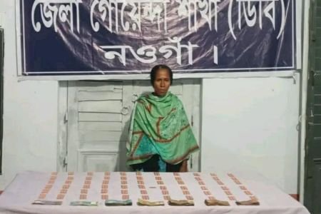 মান্দায় মাদক সিন্ডিকেটে ডিবির হানা ৬৬৩ পিস ট্যাপেন্টাডলসহ নারী গ্রেপ্তার