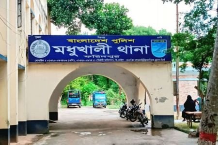 মধুখালী উপজেলার আড়পাড়া গ্রামে জাম গাছ থেকে পড়ে এক গৃহবধুর মৃত্যু