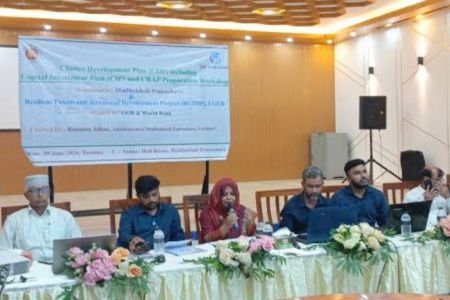 টেকসই ও আধুনিক পৌর নগর গঠনে মধুখালীতে ক্লাস্টার উন্নয়ন পরিকল্পনা কর্মশালা অনুষ্ঠিত