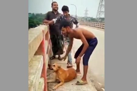 কুকুরের গলায় ইট বেঁধে সেতু থেকে নদীতে নিক্ষেপ, যুবকক গ্রেপ্তার
