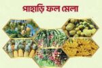 রাজধানীতে পাহাড়ি ফল মেলা ২৭ থেকে ২৯ জুন