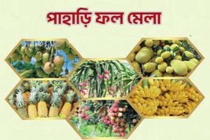 রাজধানীতে পাহাড়ি ফল মেলা ২৭ থেকে ২৯ জুন