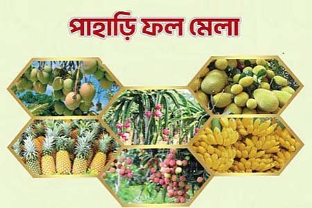 রাজধানীতে পাহাড়ি ফল মেলা ২৭ থেকে ২৯ জুন