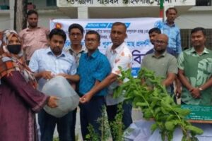 পাইকগাছায় গৃহস্থালি কাজে ব্যবহৃত পুকুরে মাছের পোনা ও গাছের চারা বিতরণ