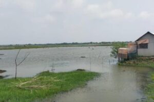 পাইকগাছায় প্রতিপক্ষের বিরুদ্ধে চিংড়ী ঘের জবরদখল চেষ্টার অভিযোগ