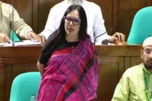 গ্রামাঞ্চলে ১০ থেকে ১২ ঘণ্টা বিদ্যুৎ থাকে না - রুমিন ফারহানা