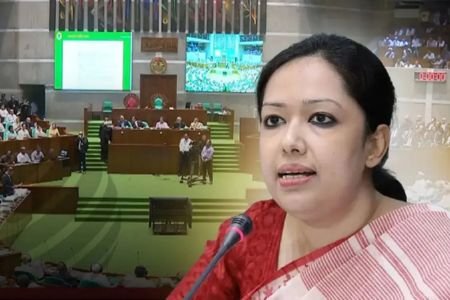 ১০০ দিনে ৬০৫ খুন, ১৯৬ অপহরণ, সংসদে রুমিন ফারহানার ক্ষোভ
