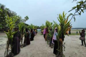 উপকূলের শ্যামনগরে নারীদের মাঝে লবন সহিষ্ণু গাছ বিতরণ