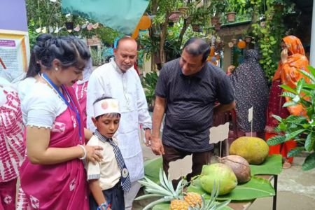 ঝিনাইদহে জমজমাট ফল উৎসব